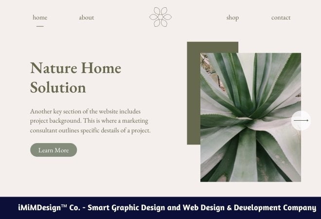 Web Design & Development - Package 1