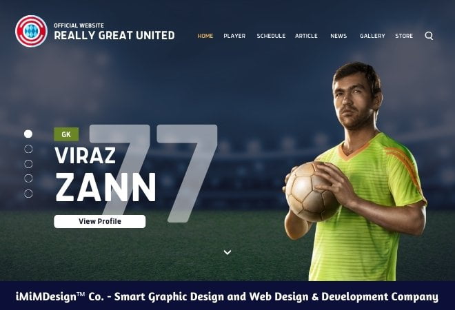 Web Design and Development Package 4